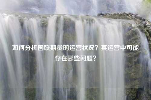 如何分析国联期货的运营状况？其运营中可能存在哪些问题？