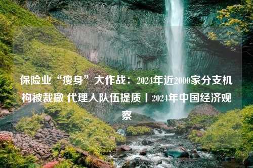 保险业“瘦身”大作战：2024年近2000家分支机构被裁撤 代理人队伍提质丨2024年中国经济观察