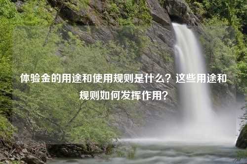 体验金的用途和使用规则是什么？这些用途和规则如何发挥作用？